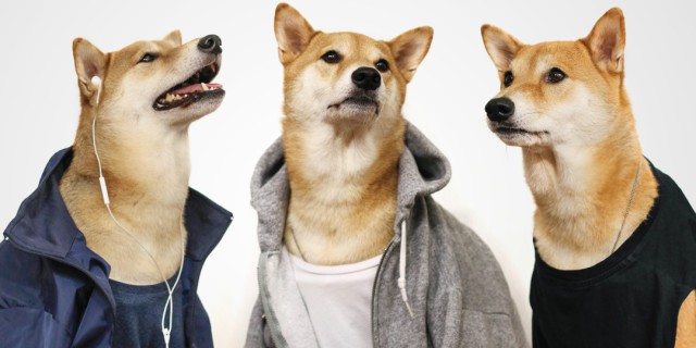 menswear-dog-gym-outfits-1105603-TwoByOne